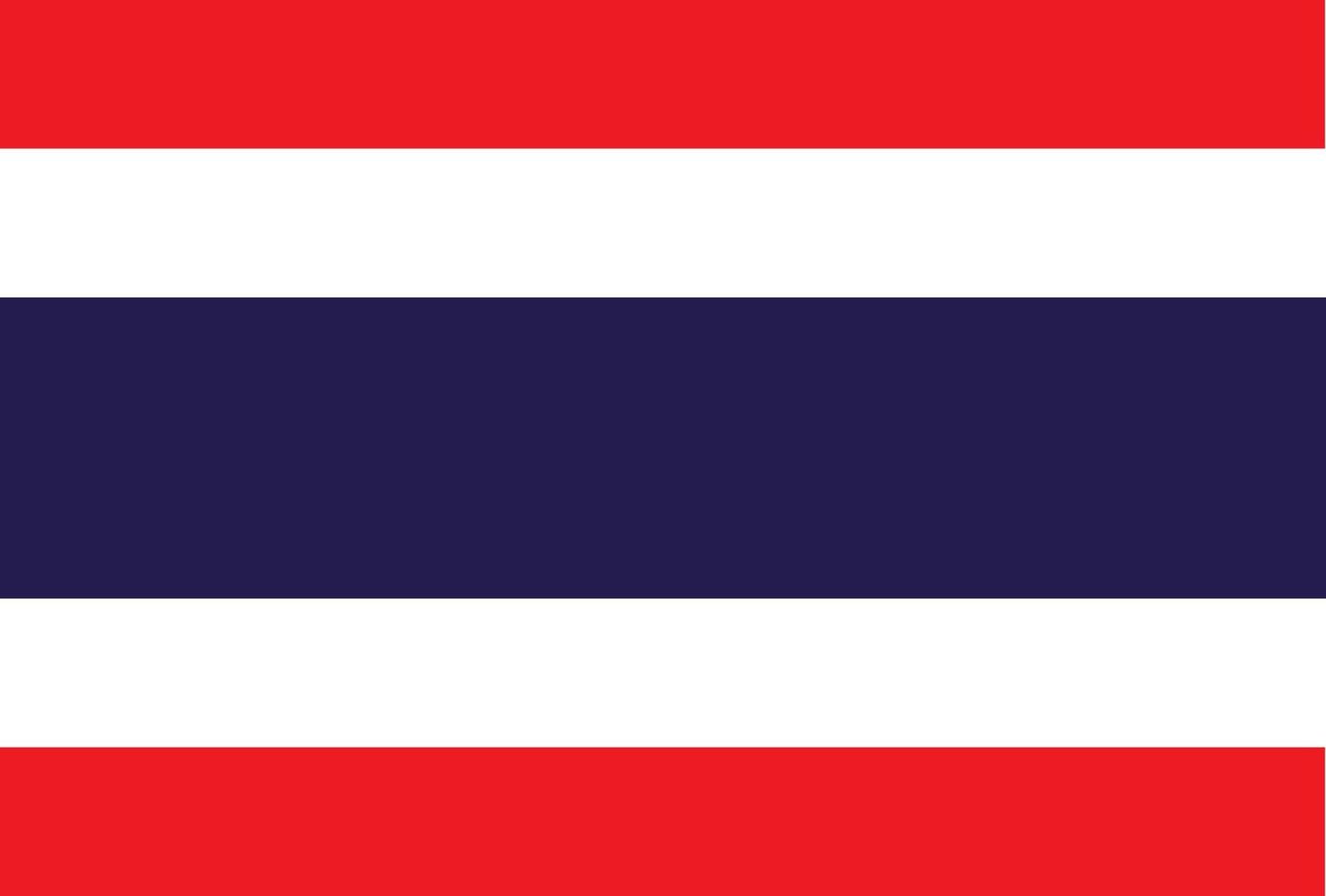 thailand hand drawn flag Thai baht hand drawn vector