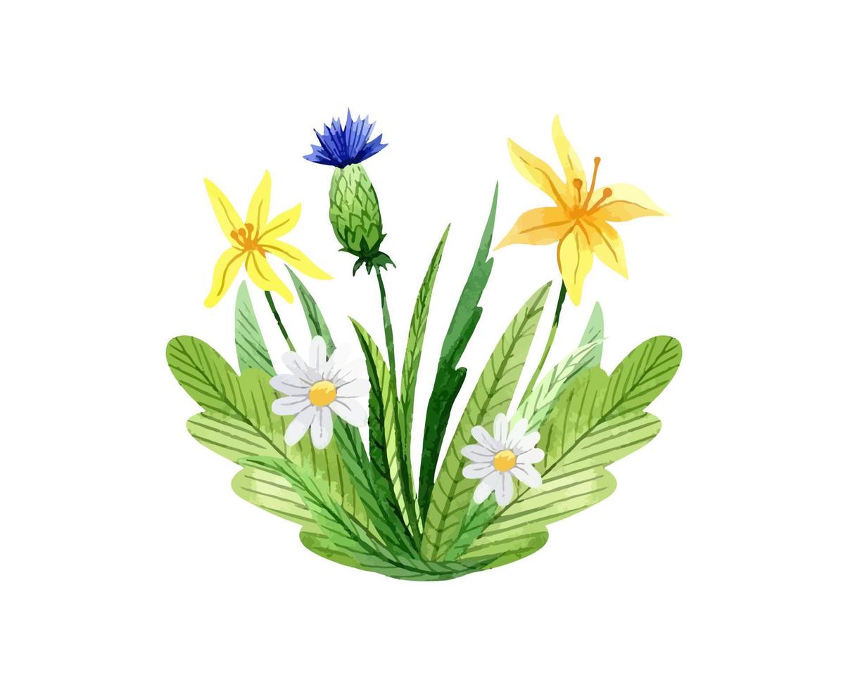 ramo de acuarela con margaritas, acianos y hojas hermosas flores silvestres 11425621 Vector en Vecteezy ramo de acuarela con margaritas, acianos y hojas hermosas flores silvestres 11425621 Vector en Vecteezy