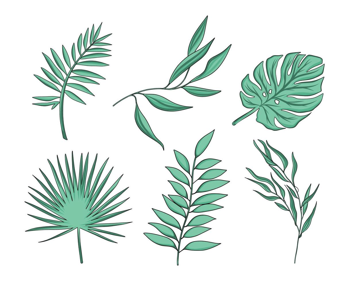 conjunto vectorial de hojas de palma verdes y otras plantas tropicales y ramas sobre un fondo blanco vector