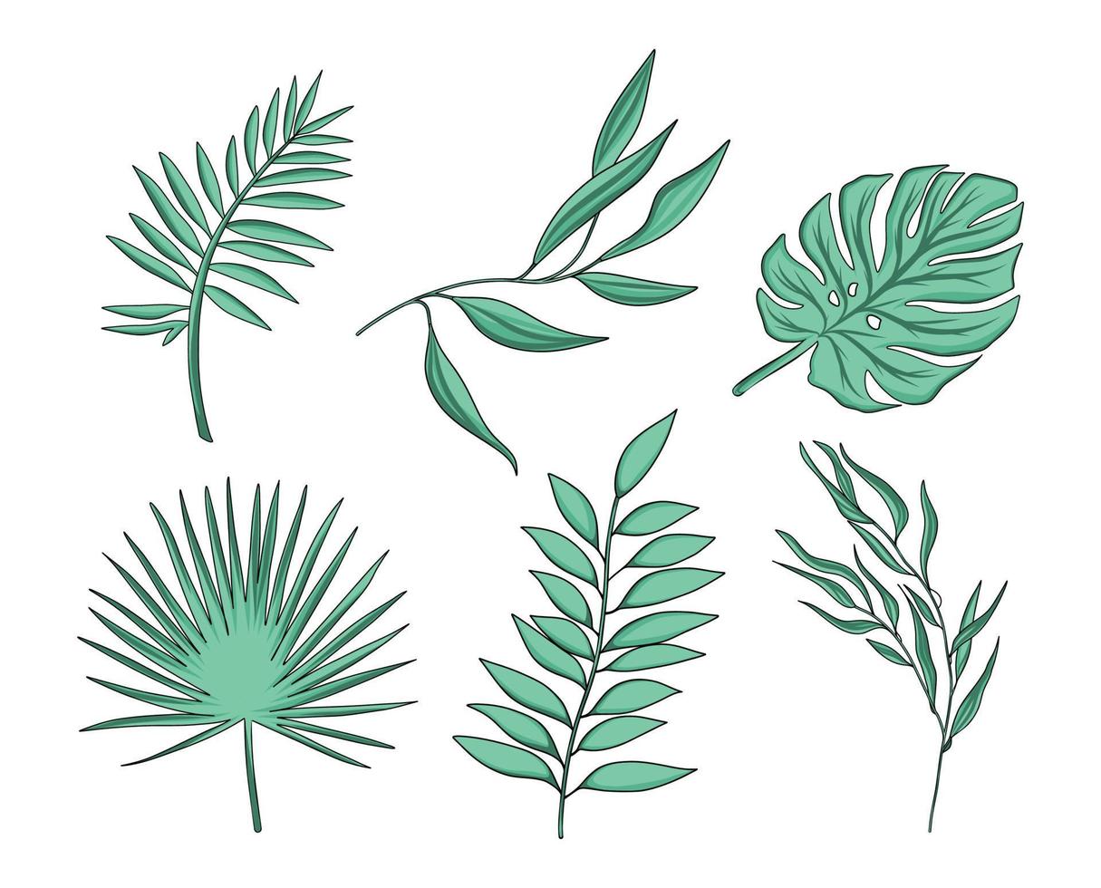 Vector set of green palm leaves and other tropical plants and branches on a white background