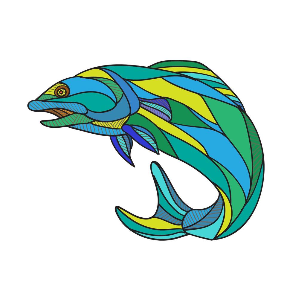 Atlantic Salmon Jumping Drawing vector