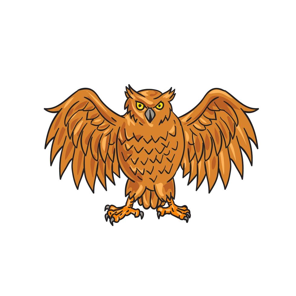 Angry Owl Wings Spread Drawing vector