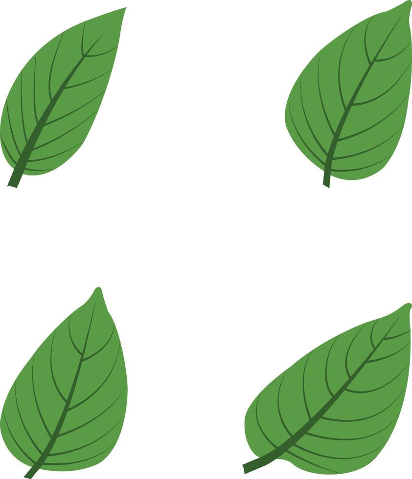 vector de hoja de árbol verde y varias formas