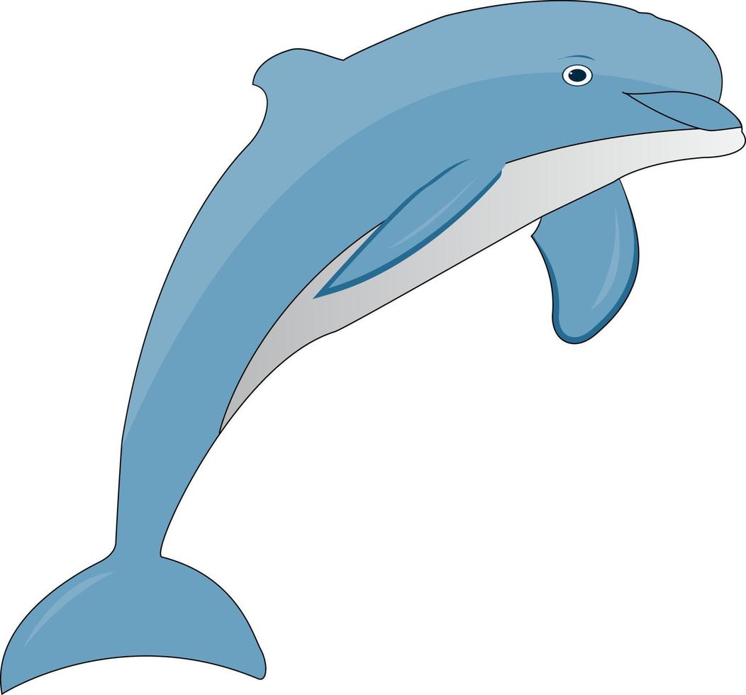dolphin vector art design