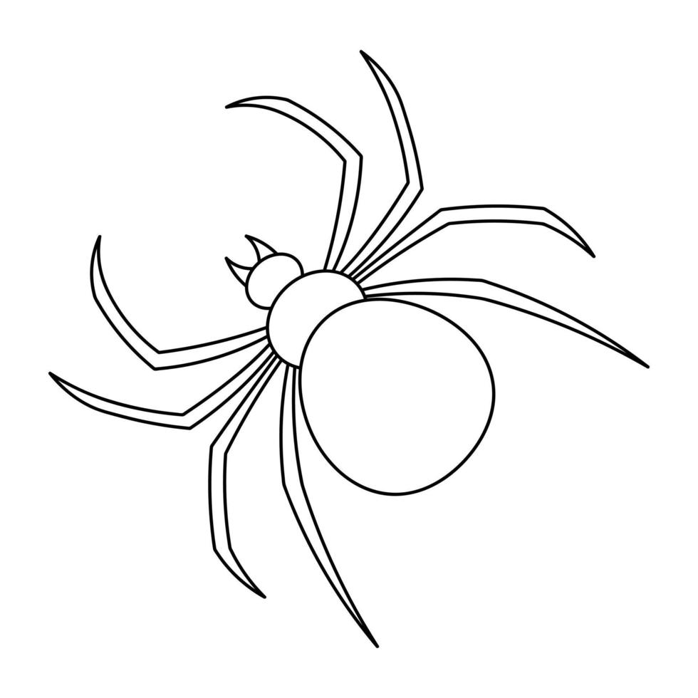 Spider.  Sketch. Bloodthirsty predator. Black Widow. Halloween symbol. A clever hunter. Vector illustration. Outline on an isolated white background. Doodle style. Coloring book. All Saints Day.