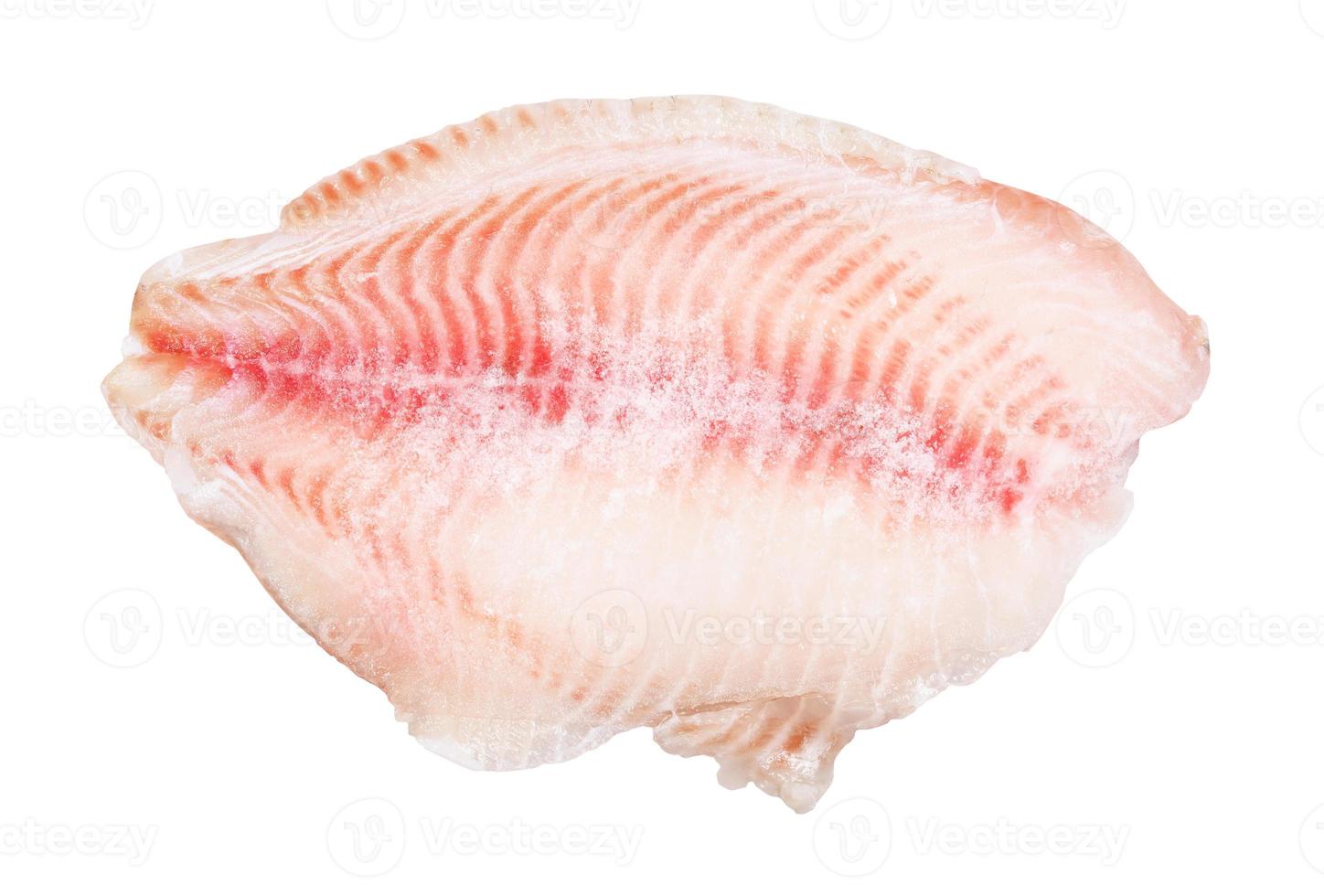 raw frozen fillet of ocean perch fish isolated photo