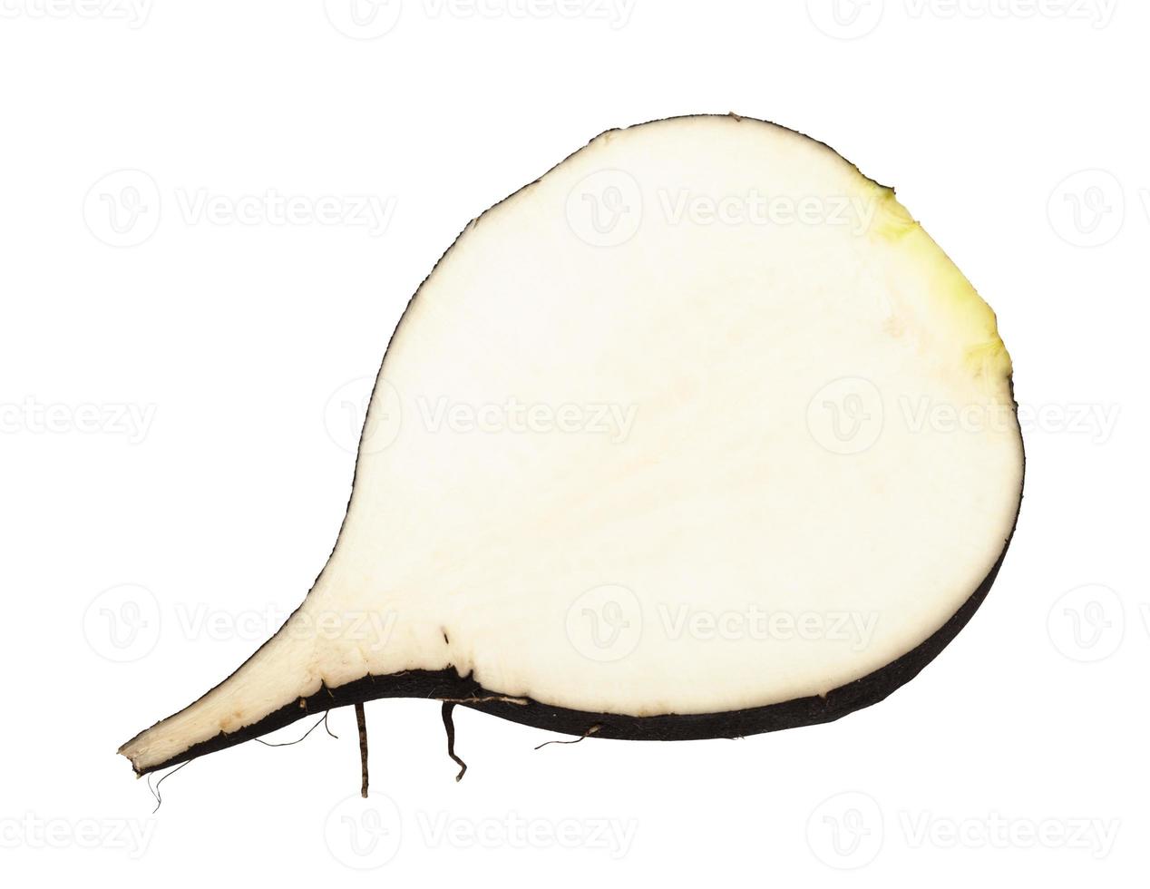 cross section of fresh black radish root isolated photo