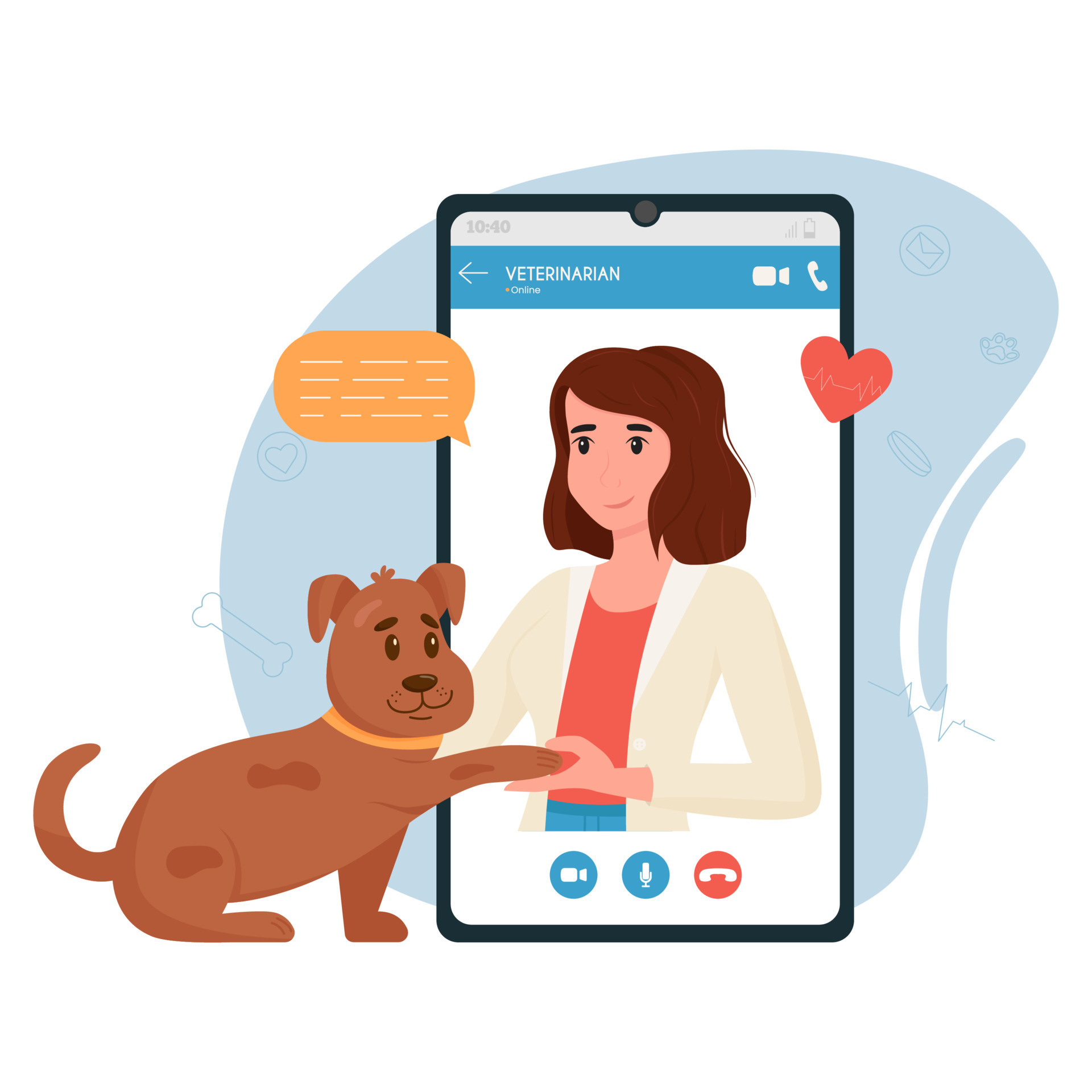 Veterinary doctor appointment. Online veterinarian consultation. Pet