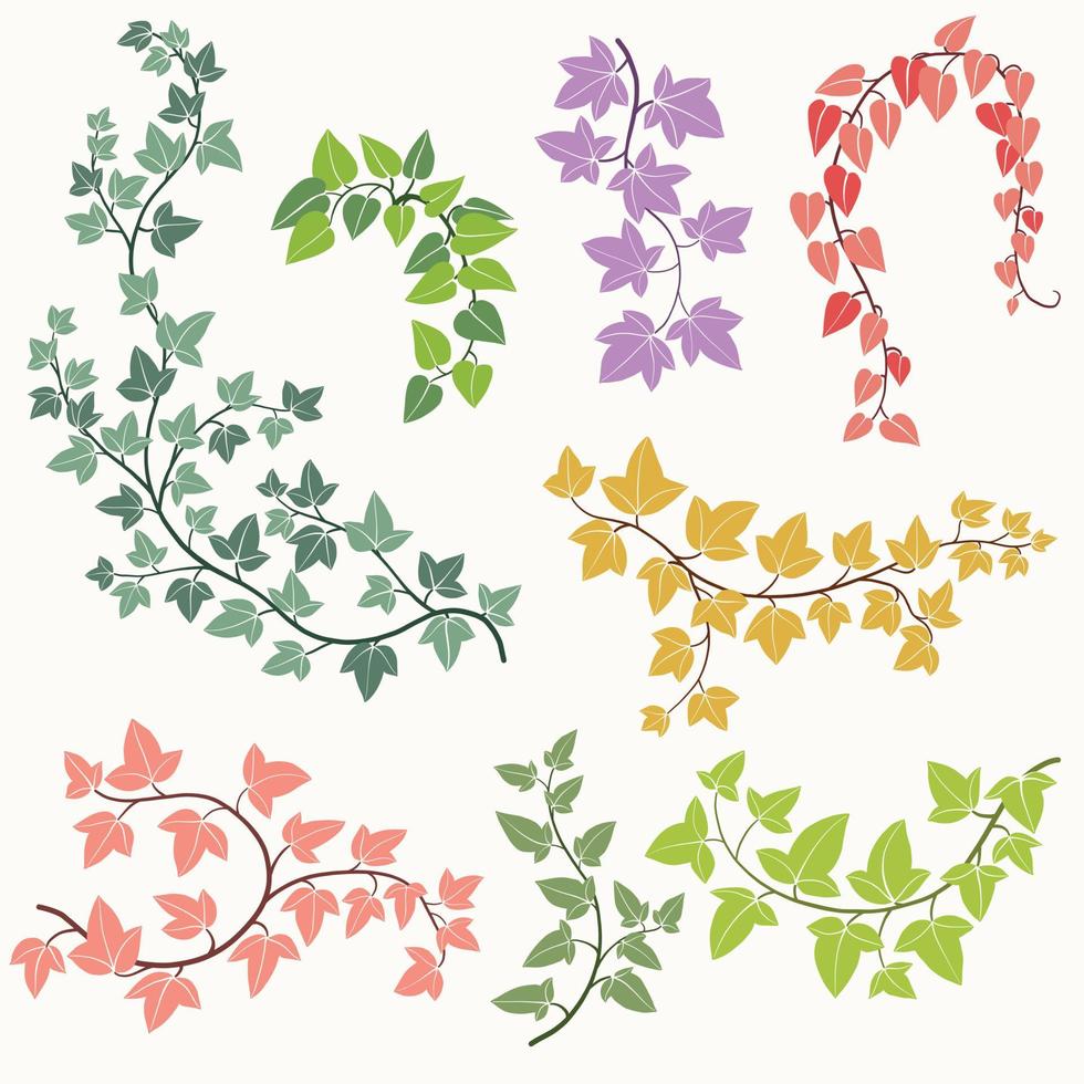 Simplicity ivy freehand drawing flat design collection. vector