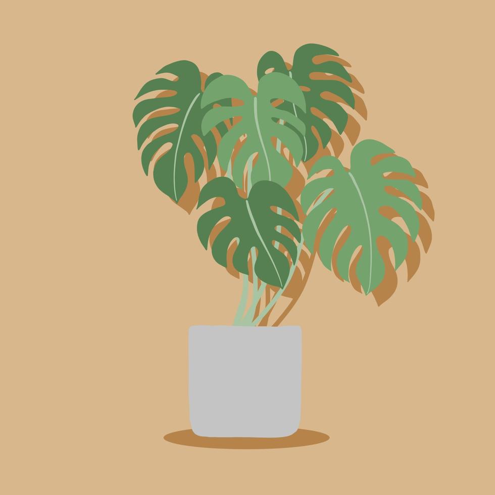 Simplicity monstera plant freehand drawing flat design. vector