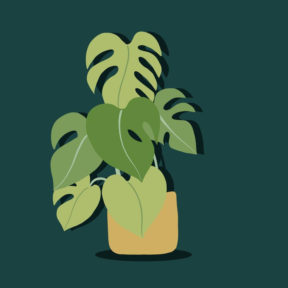 Simplicity monstera plant freehand drawing flat design. vector