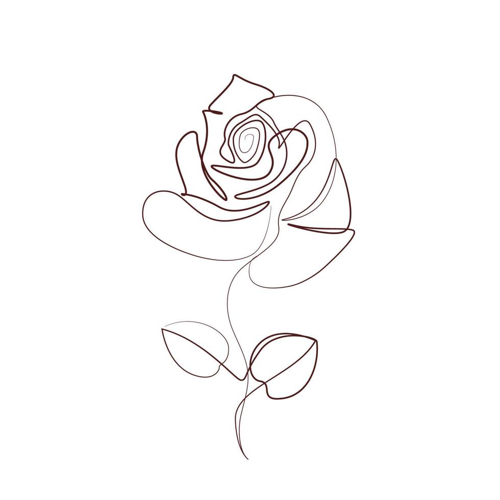 Rose flowers one line art illustration vector