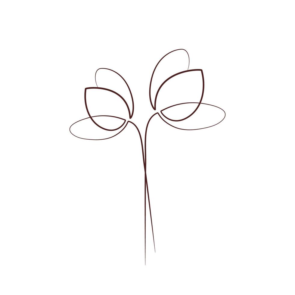 Tulip flowers one line art drawing vector