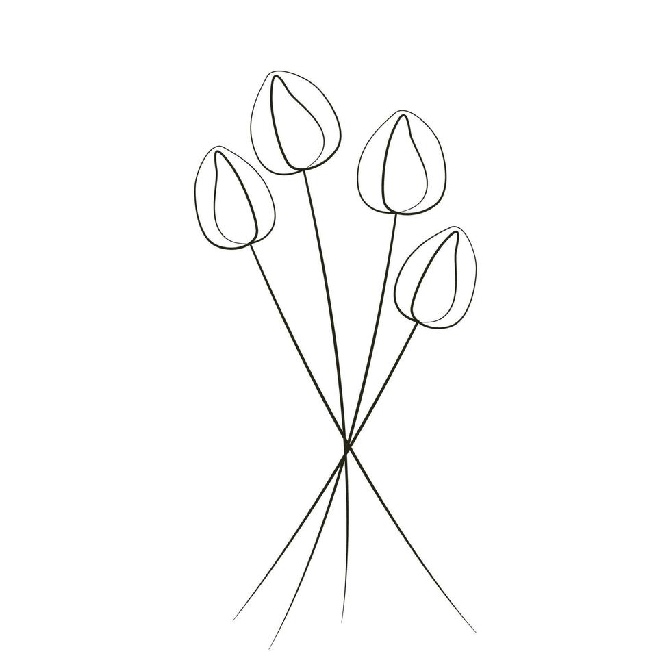 Tulip flowers line art illustration vector