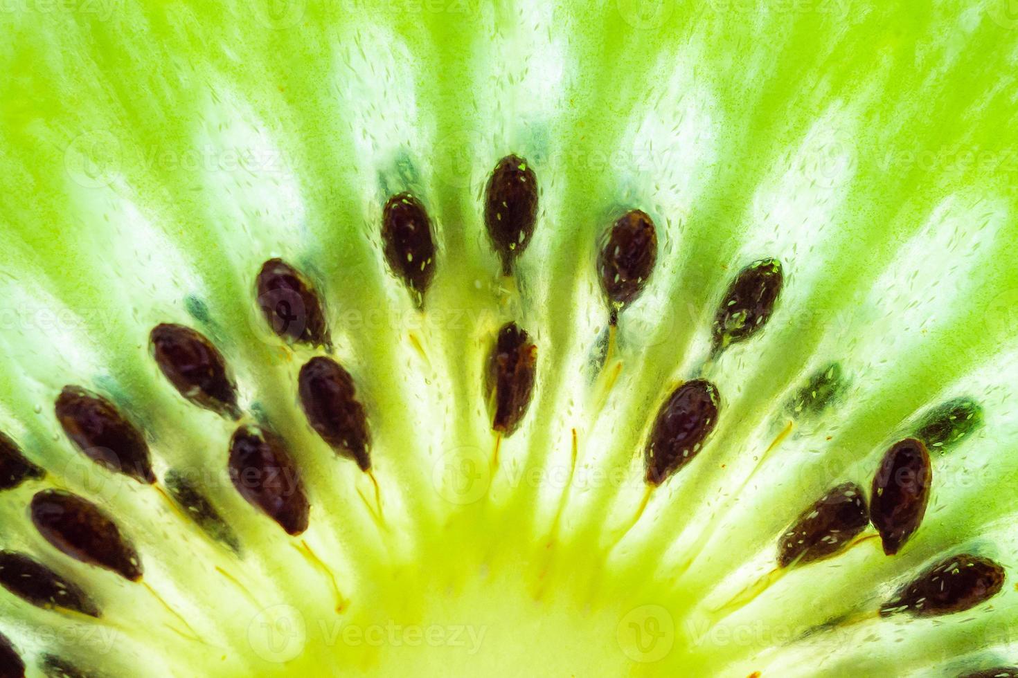 Fresh kiwi fruit slices closeup macro texture background photo