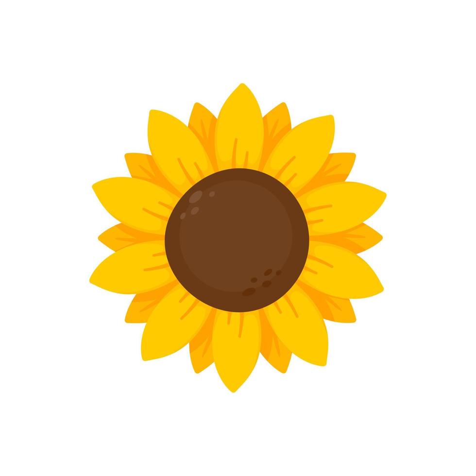 los girasoles amarillos florecen en primavera. para decorar cartel de bienvenida vector