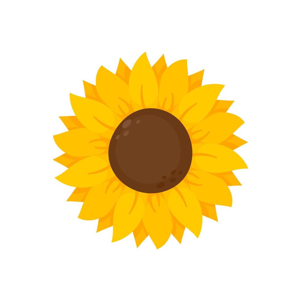 los girasoles amarillos florecen en primavera. para decorar cartel de bienvenida vector