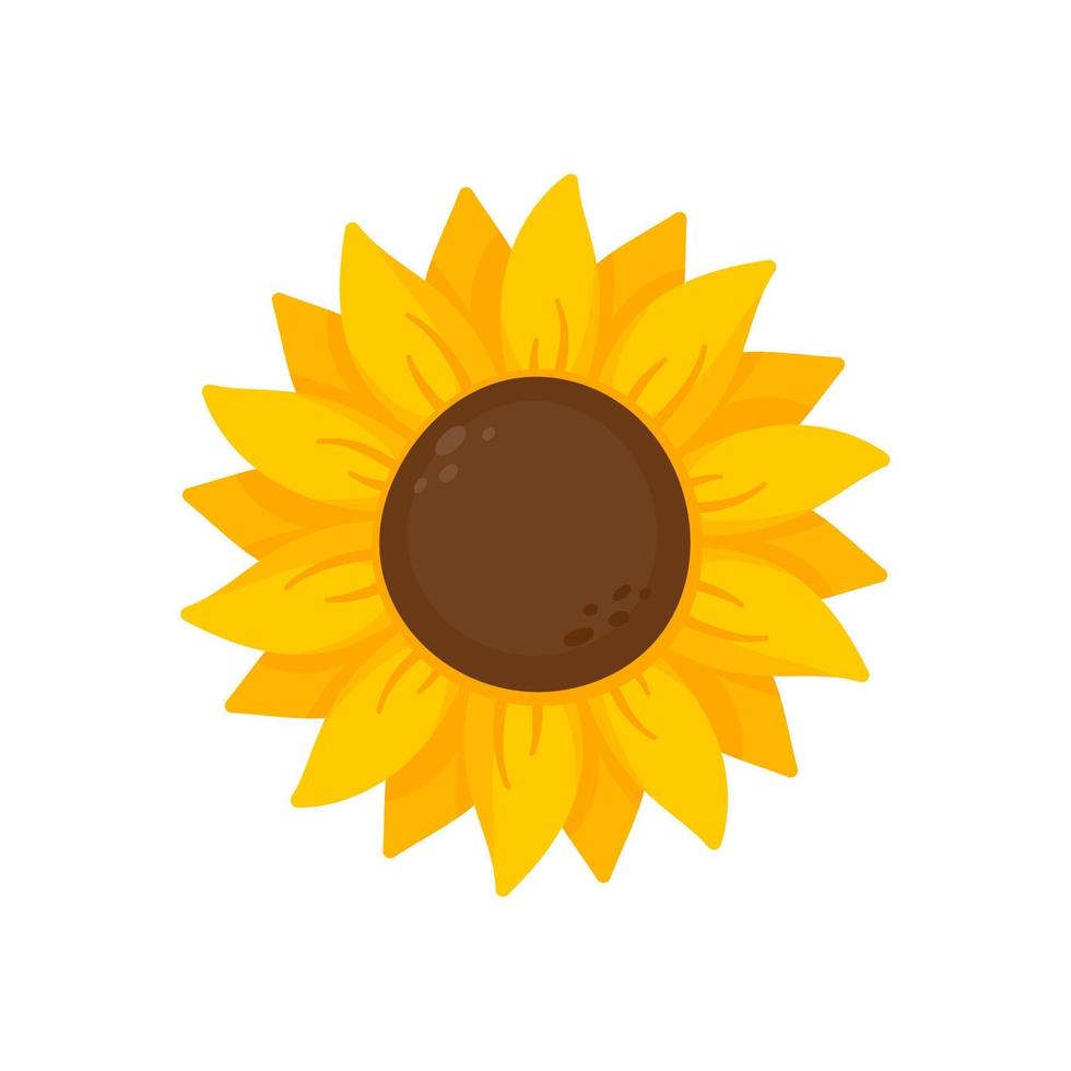 Yellow sunflowers bloom in spring. for decorating welcome sign vector