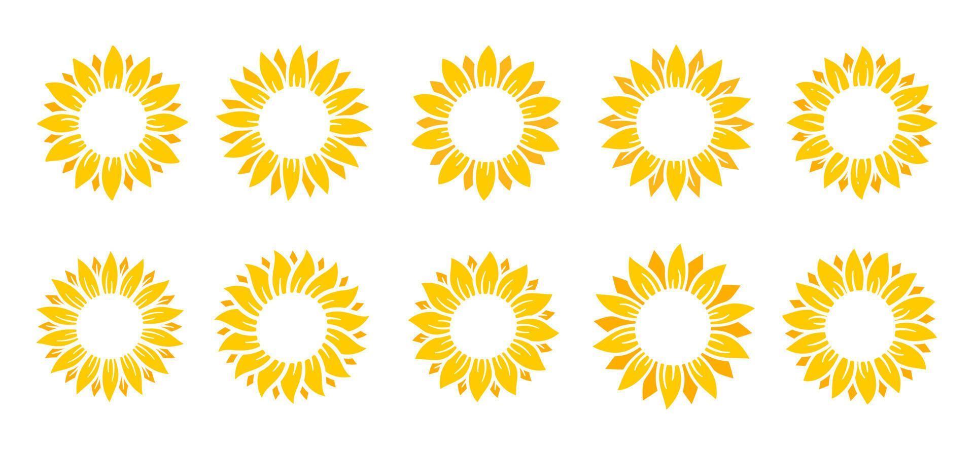 Yellow sunflowers bloom in spring. for decorating welcome sign vector