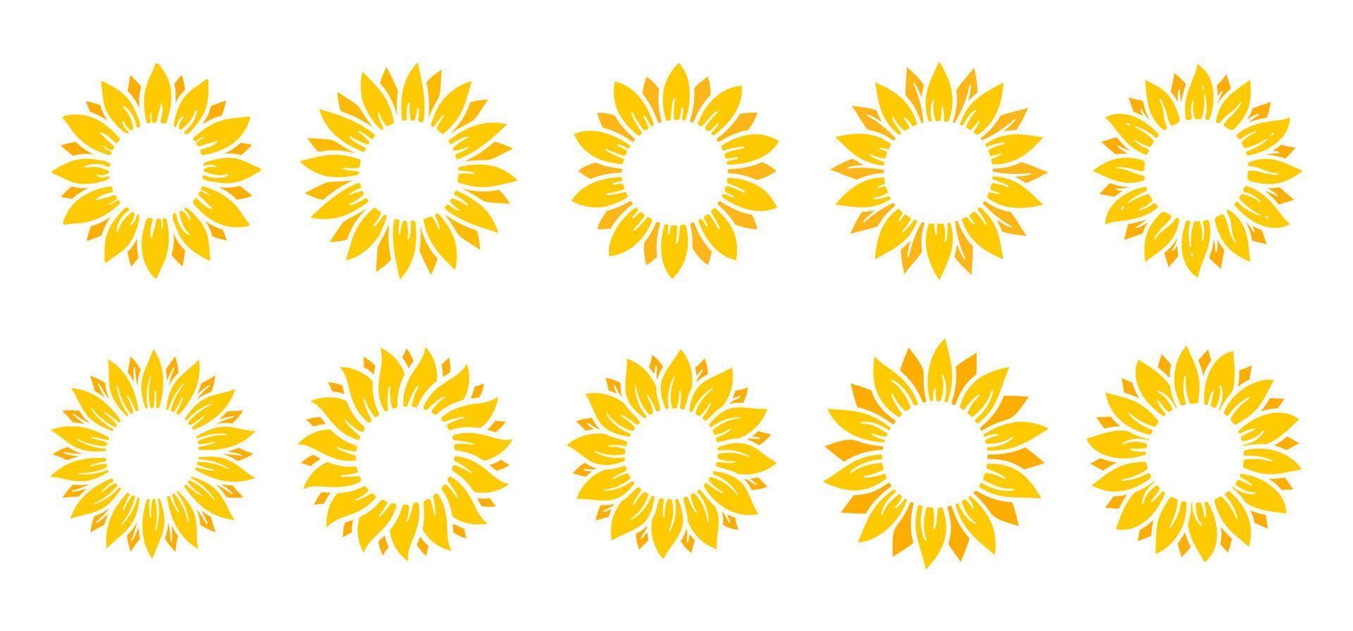 Yellow sunflowers bloom in spring. for decorating welcome sign vector