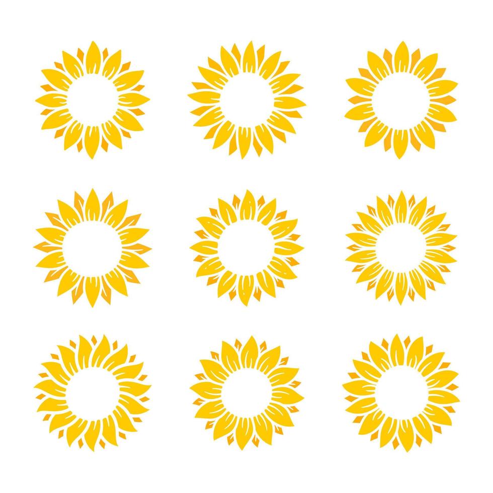 los girasoles amarillos florecen en primavera. para decorar cartel de bienvenida vector