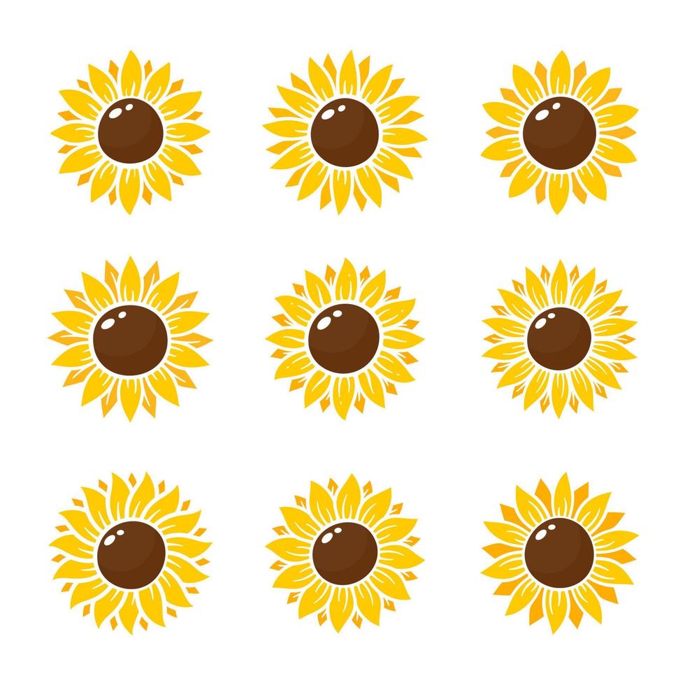 los girasoles amarillos florecen en primavera. para decorar cartel de bienvenida vector