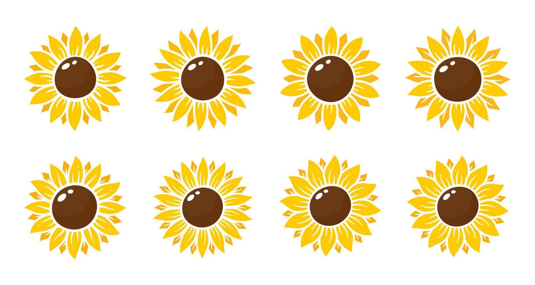 Yellow sunflowers bloom in spring. for decorating welcome sign vector