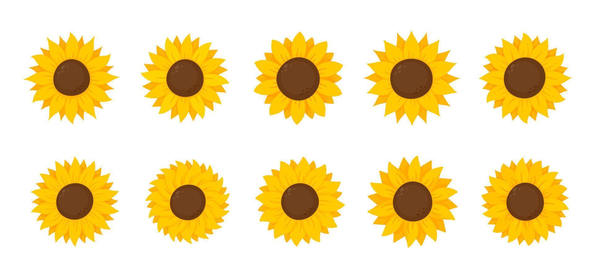 Yellow sunflowers bloom in spring. for decorating welcome sign vector