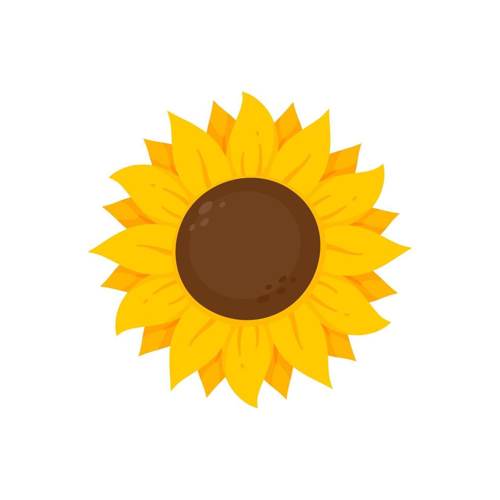 los girasoles amarillos florecen en primavera. para decorar cartel de bienvenida vector