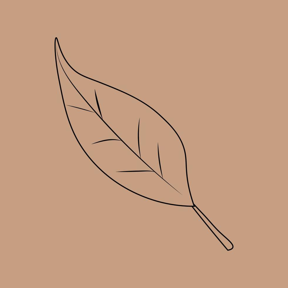 Set of hand drawn leaf outlines. Vector illustration. on the autumn background