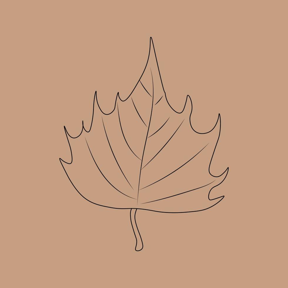 Set of hand drawn leaf outlines. Vector illustration. on the autumn background