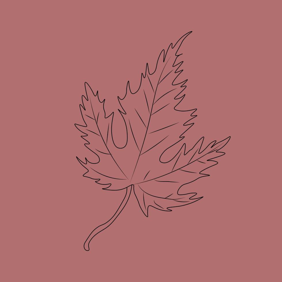 Set of hand drawn leaf outlines. Vector illustration. on the autumn background