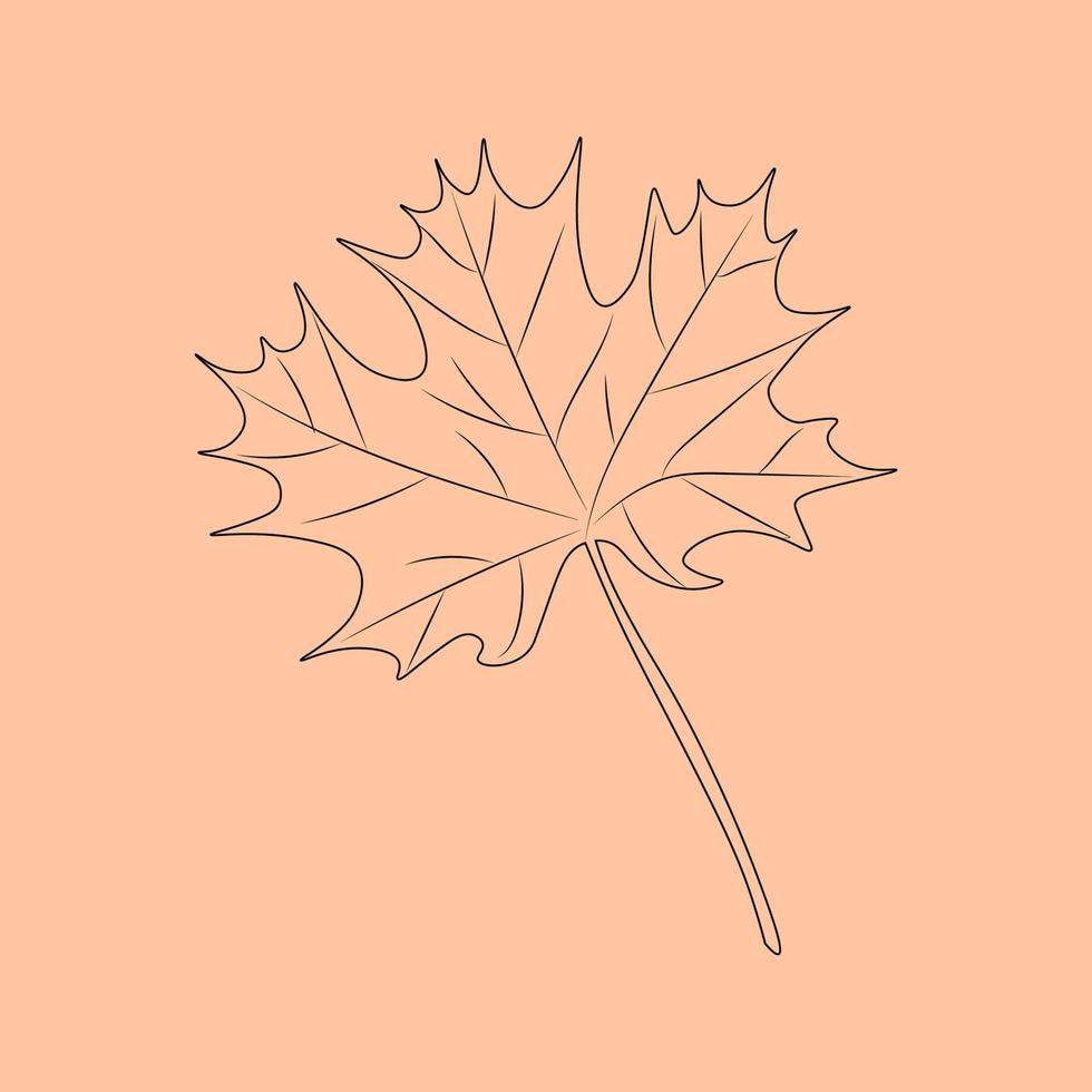 Set of hand drawn leaf outlines. Vector illustration. on the autumn background