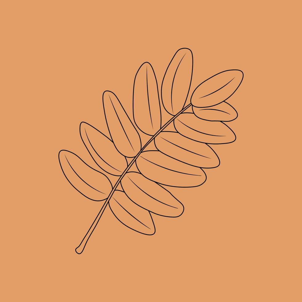 Set of hand drawn leaf outlines. Vector illustration. on the autumn background