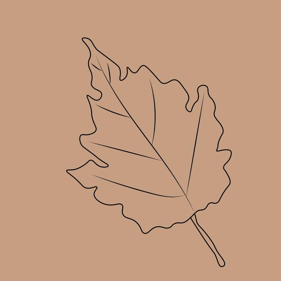 Set of hand drawn leaf outlines. Vector illustration. on the autumn background