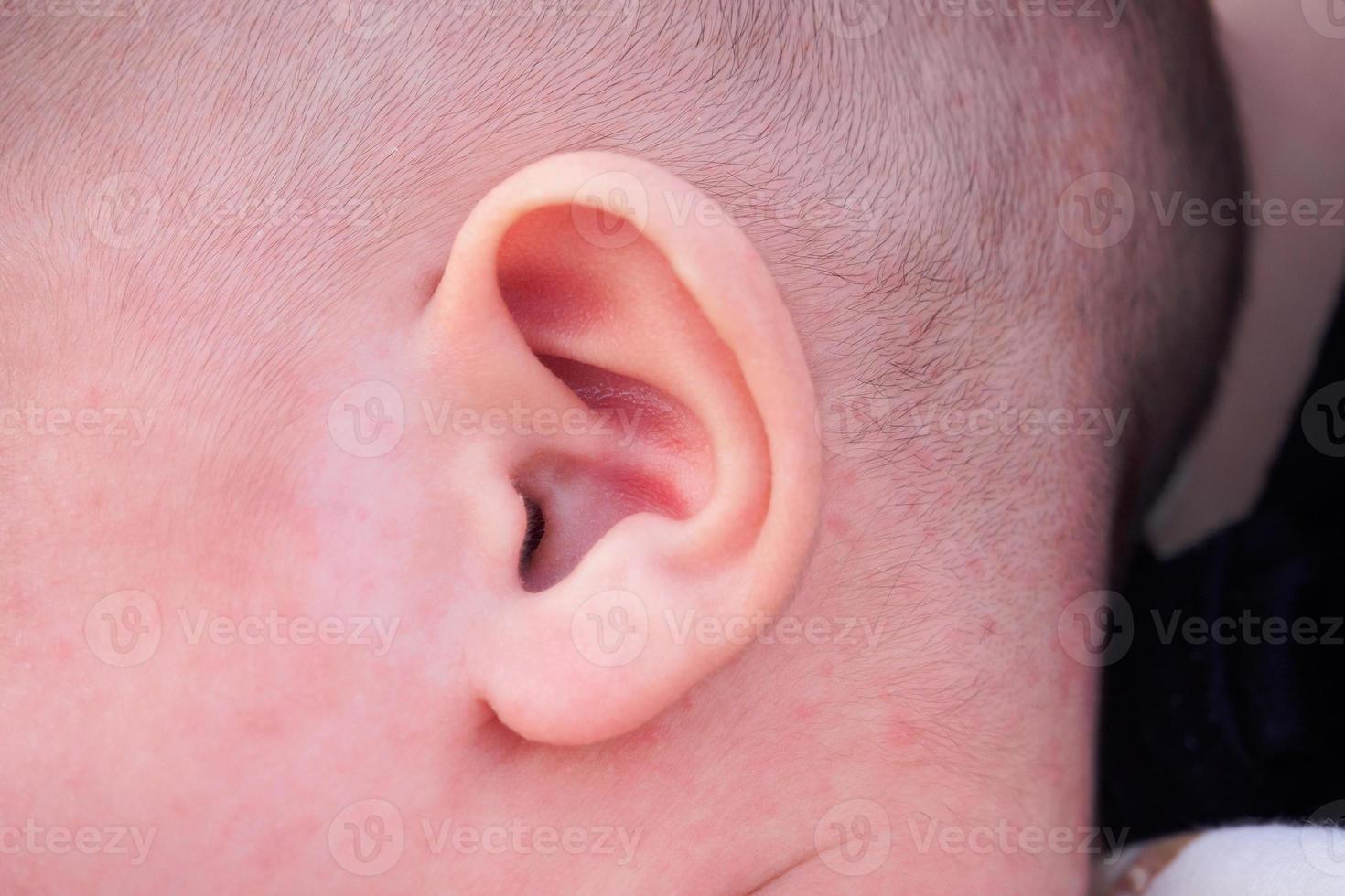 newborn baby ear close up photo