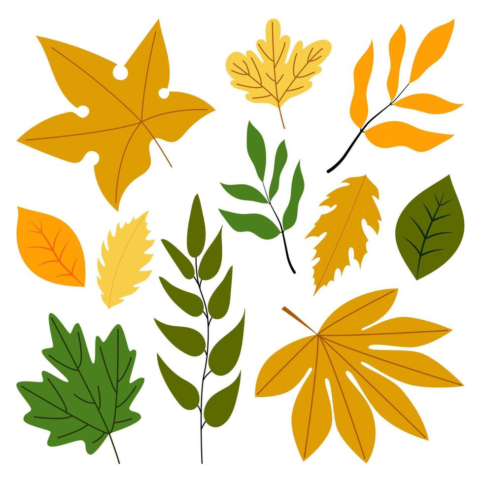 Autumn leaves set, isolated on white background. Simple cartoon flat style, vector illustration