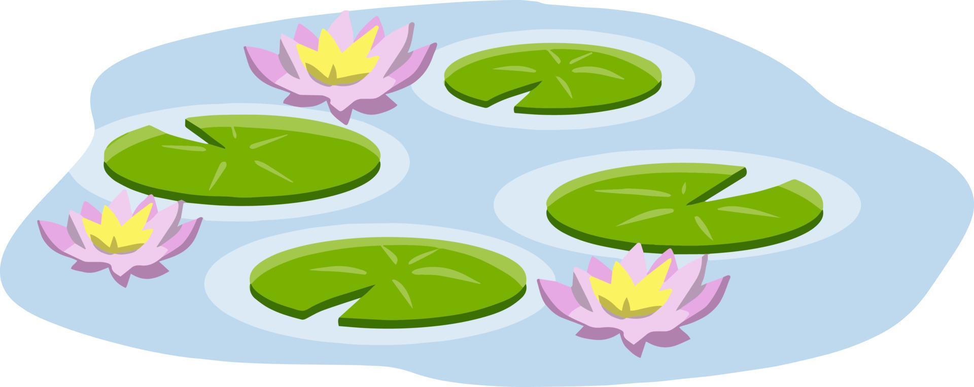 Nenuphars. Water lily. Plant on lake and reservoir. Big green leaf. Element of nature, forest and wild life. Swamp Pink flowers. Flat cartoon vector