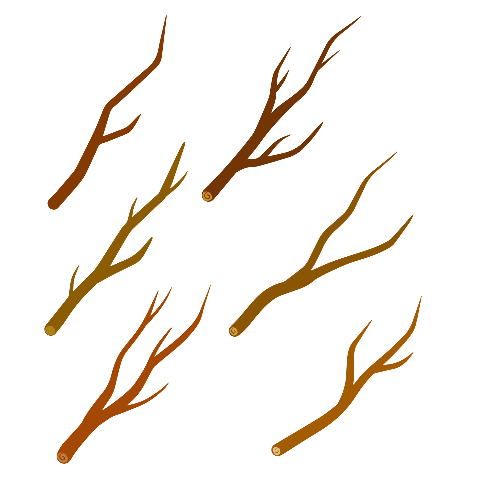 Twigs and branch. Dry tree isolated on white background. 11433441