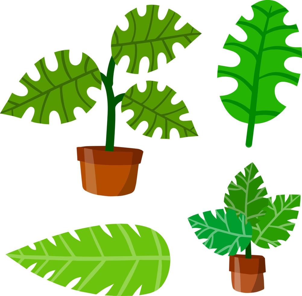 planta casera en maceta. grandes hojas verdes.elemento de decoración y jardinería. ilustración plana de dibujos animados. pasatiempos y flora vector