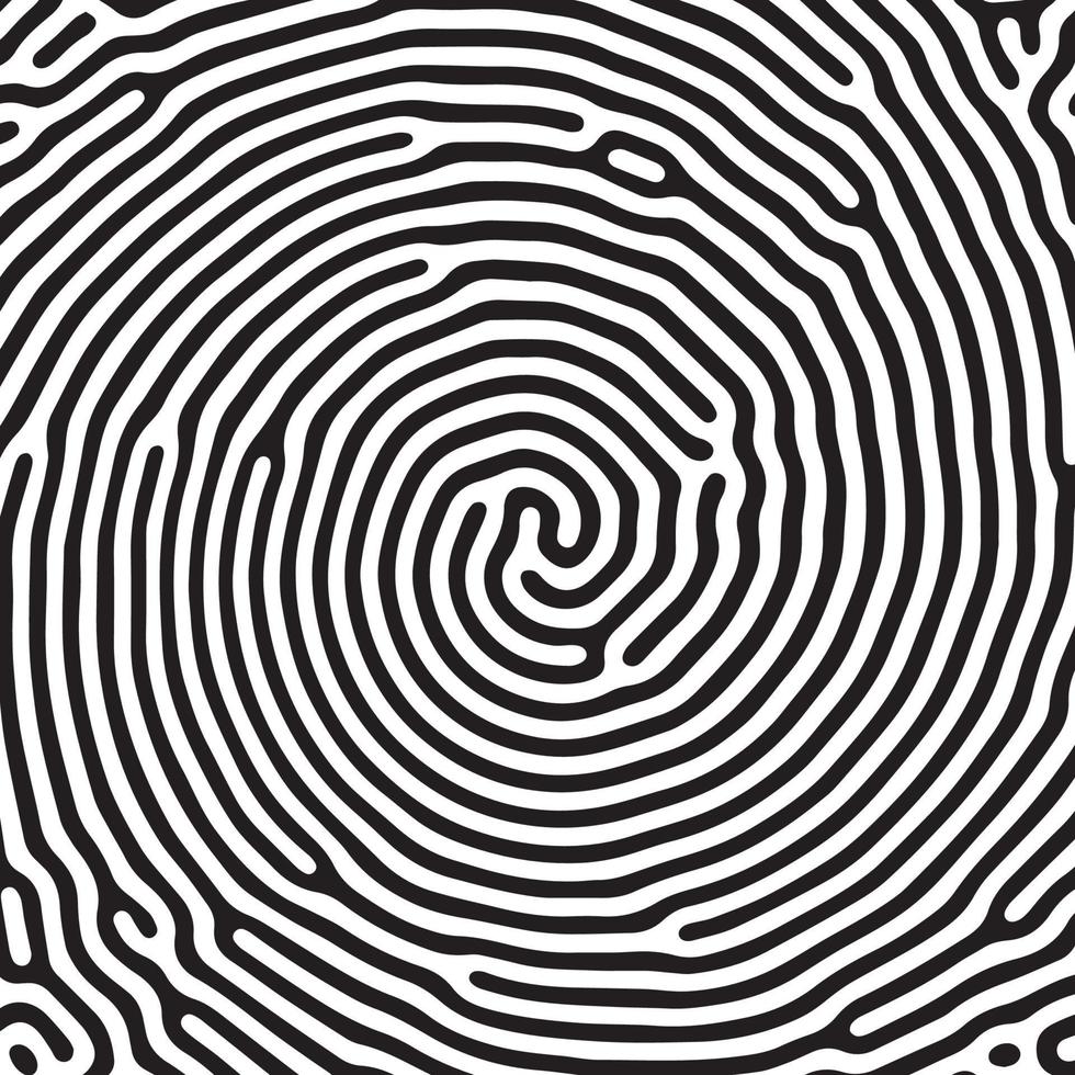 Vector black and white organic rounded lines pattern.