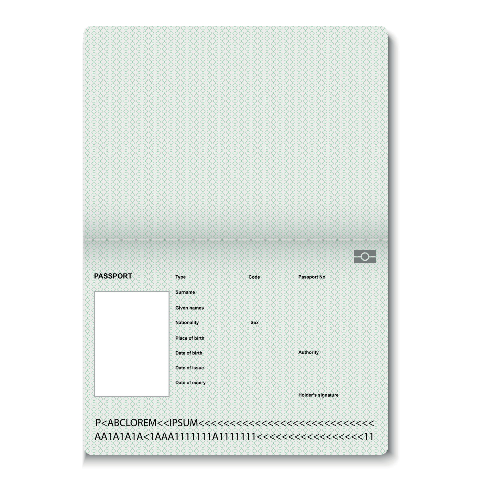 passport blank pages. 11433774 Vector Art at Vecteezy