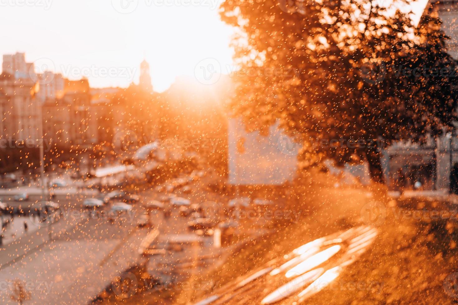 The central street of the big city 11434078 Stock Photo at Vecteezy