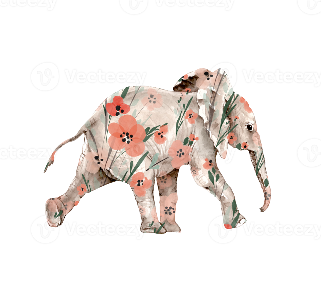 ilustração em aquarela de um elefante com estampa floral. pintura à mão. png