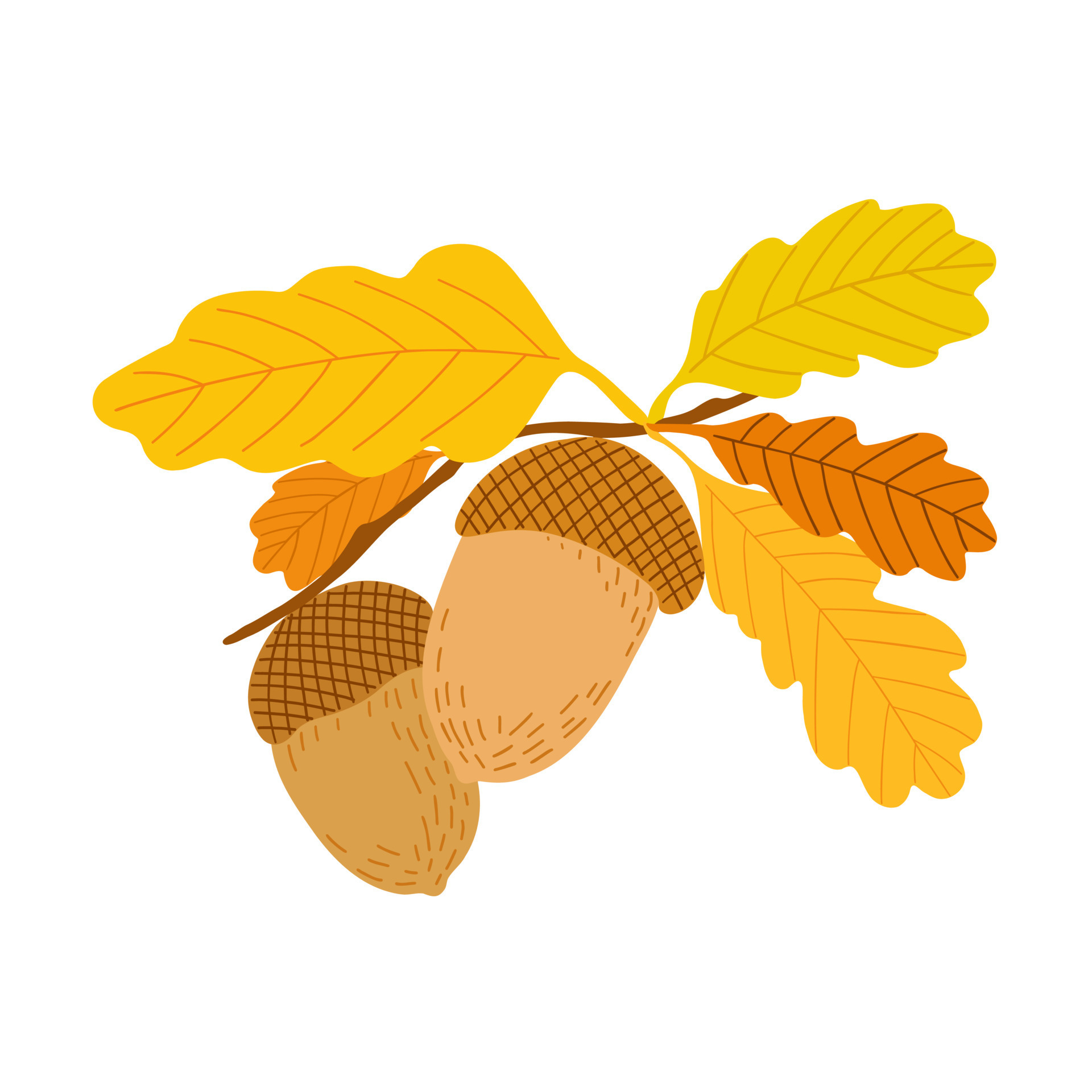 acorns and leaves clip art