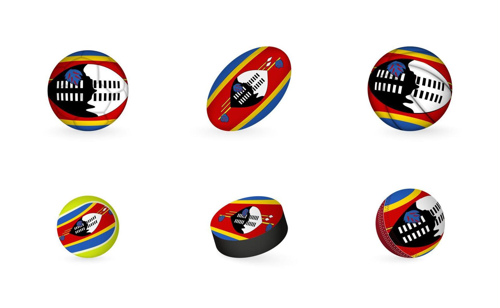 Sports equipment with flag of Swaziland. Sports icon set. vector