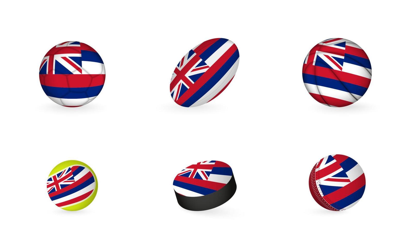 Sports equipment with flag of Hawaii. Sports icon set. vector