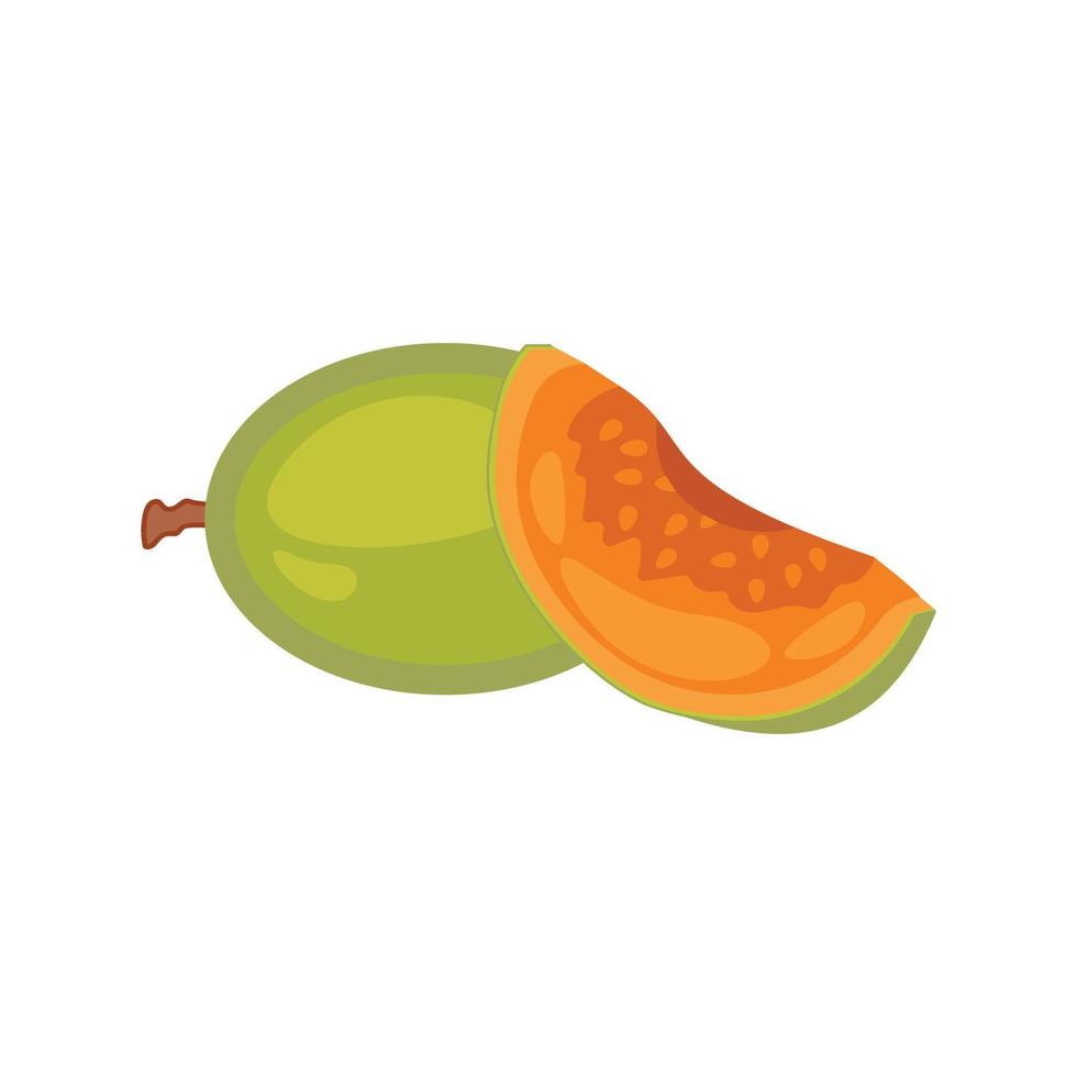 Fruit for a healthy lifestyle in the summer. Cantaloupe slices and whole fruit Isolated flat vector illustration on white.