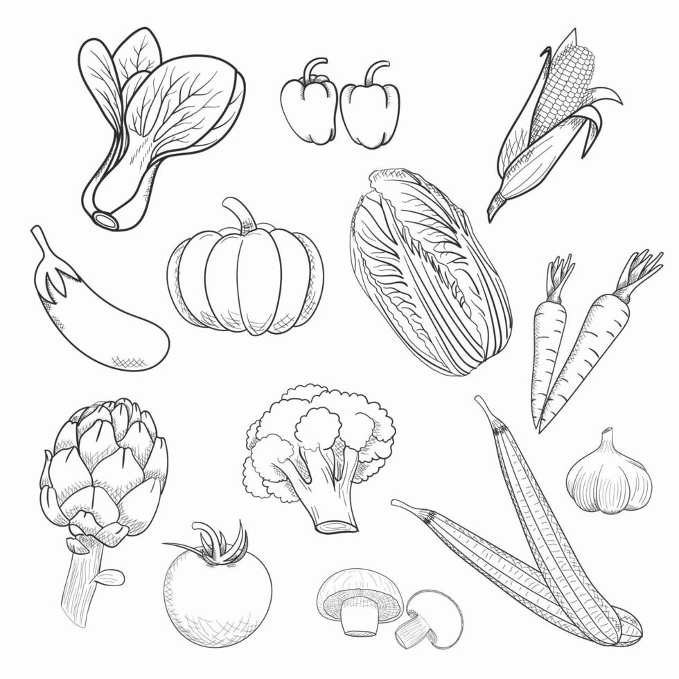 Hand drawn Vegetable sketch Background vector