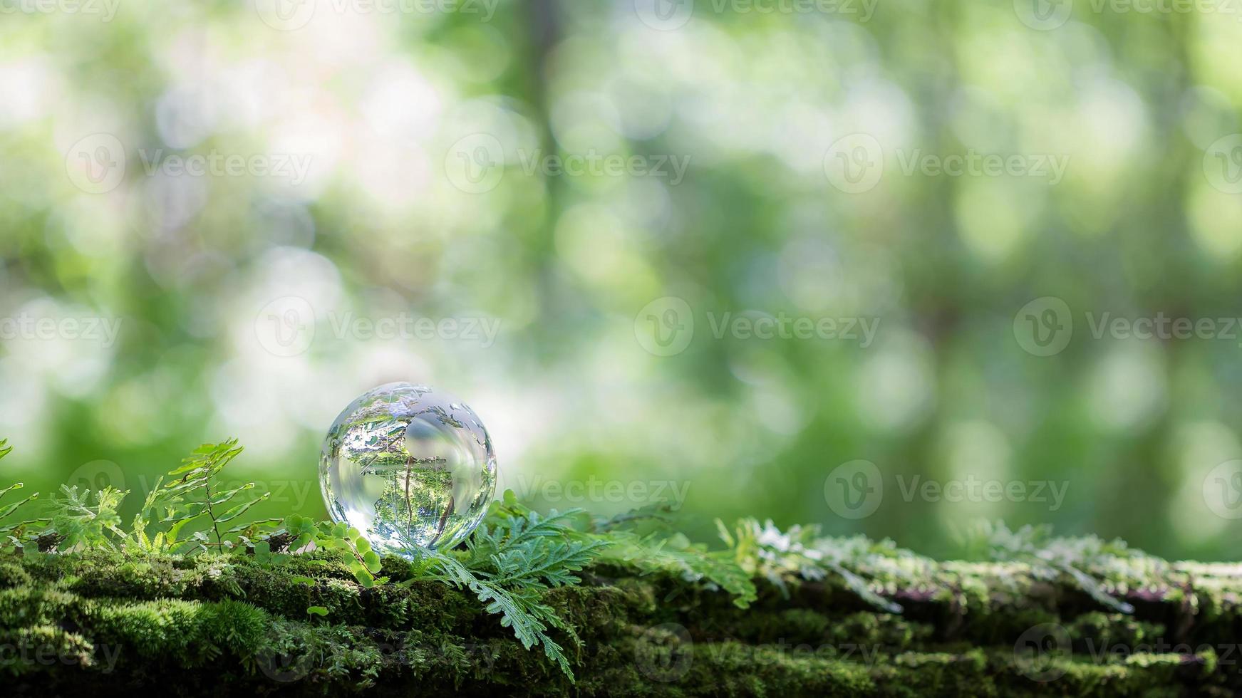 Globe planet glass In green forest with bokeh nature lights. world environment day. concept for environment conservation, protect ecology earth and environmental eco-friendly life with copy space photo